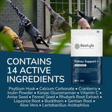 Subscription Bestlyfe Kidney Support+